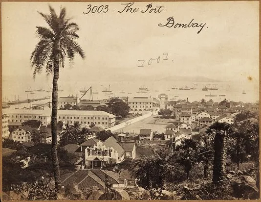 Egzotikus indiai faragványok Pécsett, 1884-ben