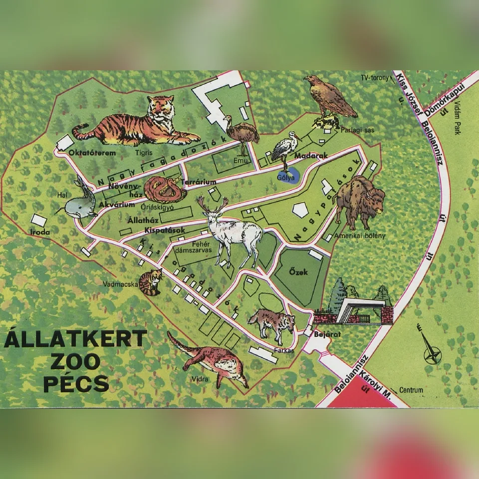 A pécsi állatkert térképe egy 1980-as évekből származó képeslapon