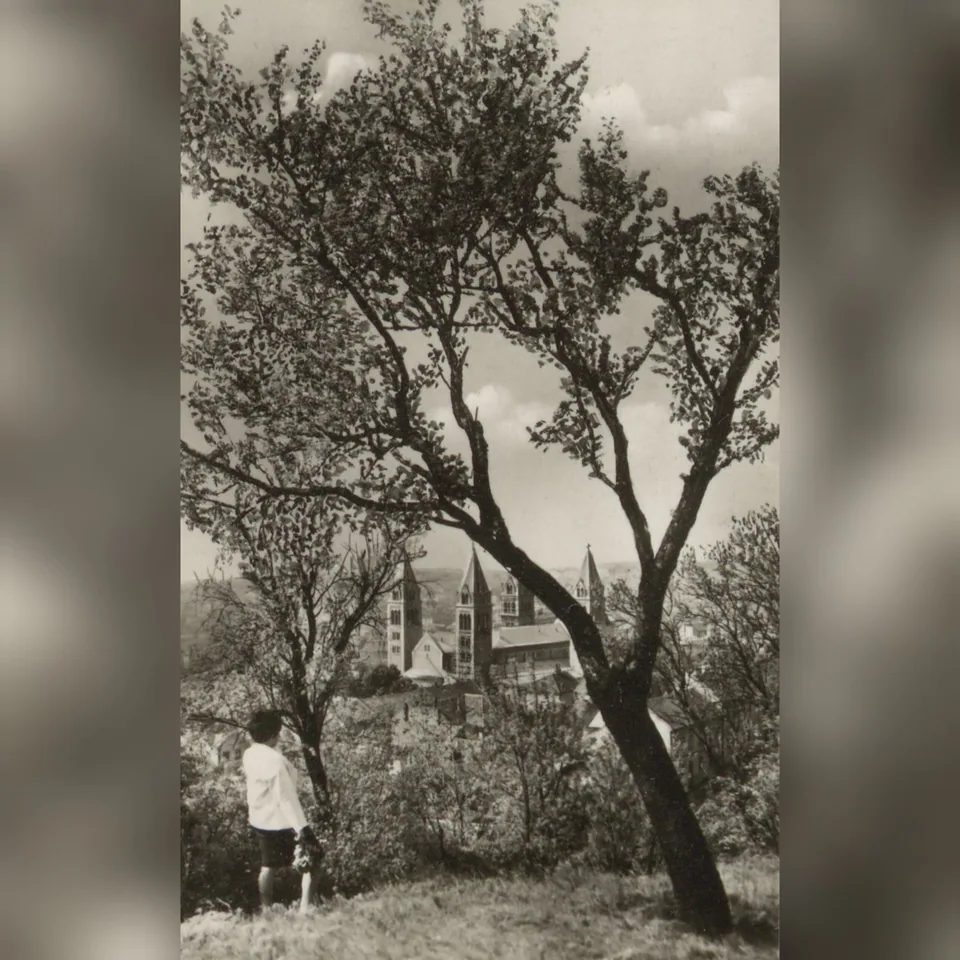 A pécsi székesegyház az 1960-as években, a Havi-hegy irányából készült fényképen
